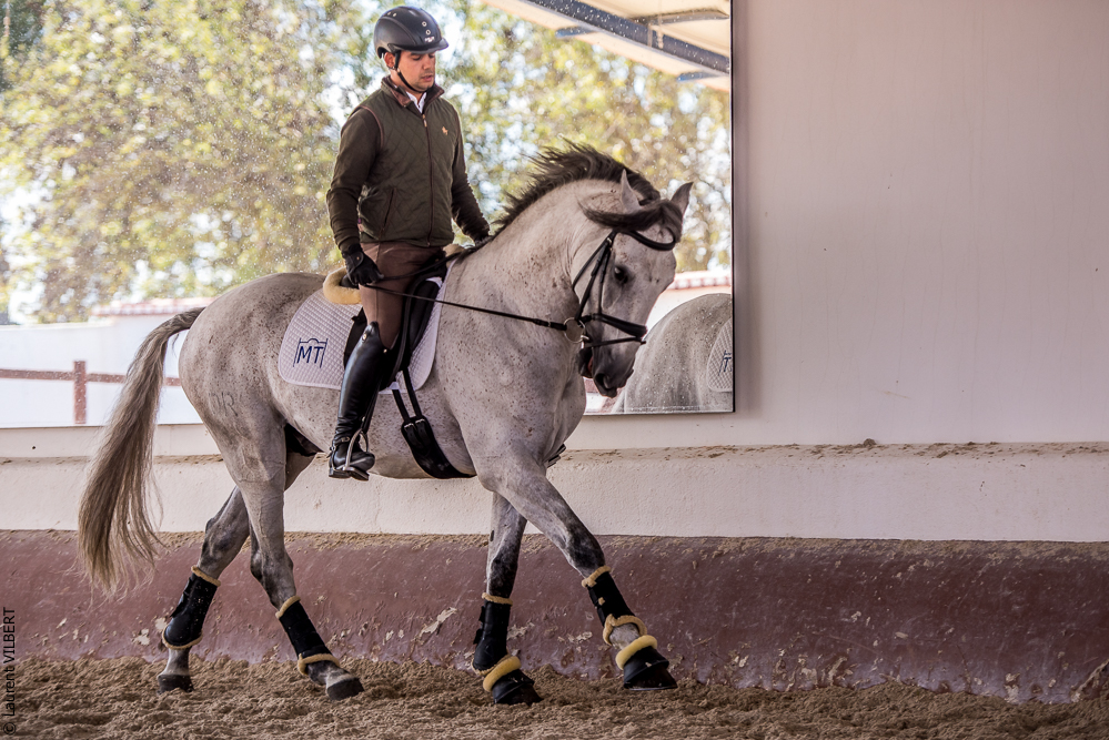 Tramagueira 20191118-0731
