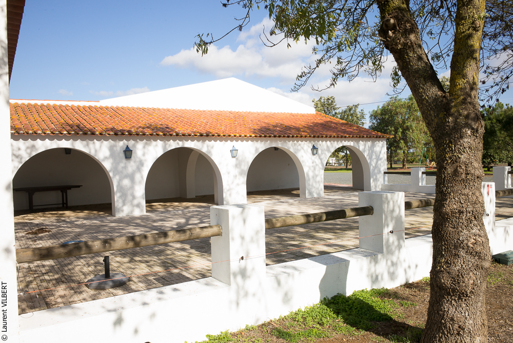 Tramagueira 20191118-0742