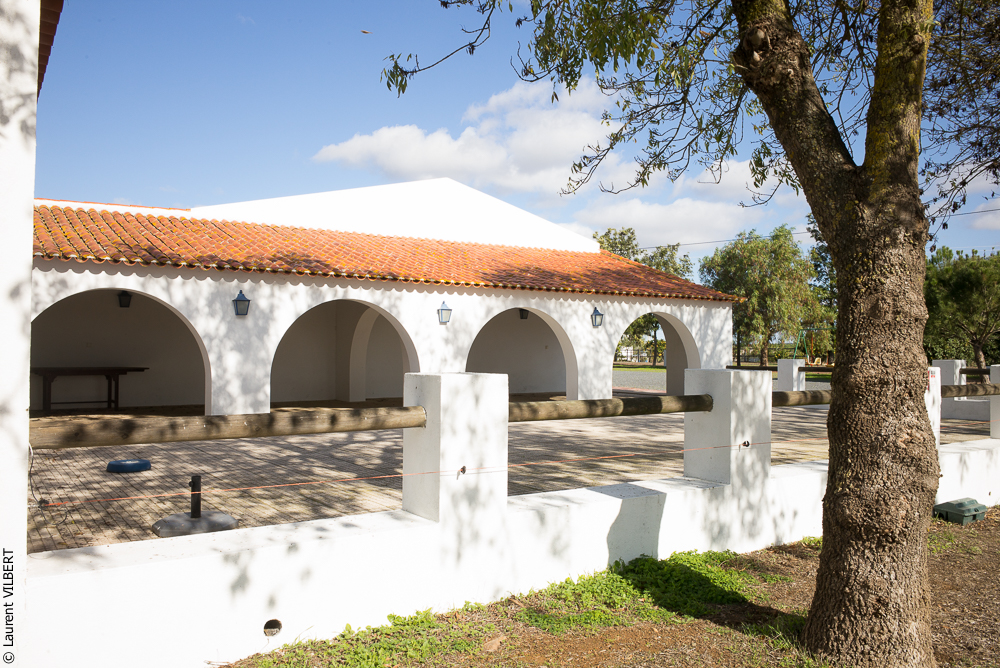 Tramagueira 20191118-0747