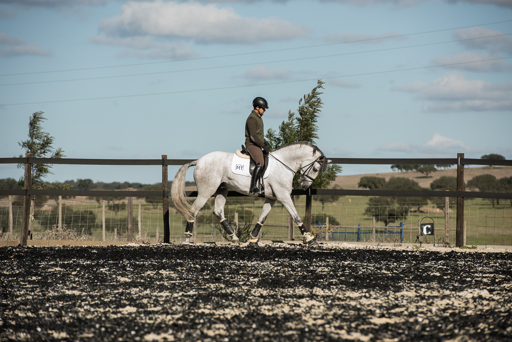 Tramagueira 20191118-0766