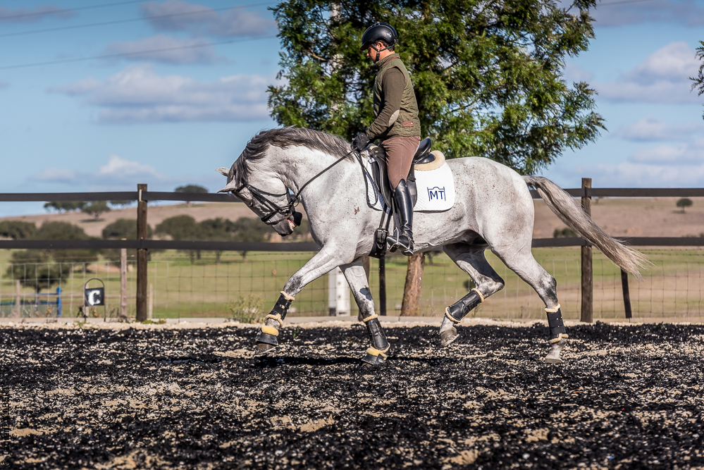 Tramagueira 20191118-0768