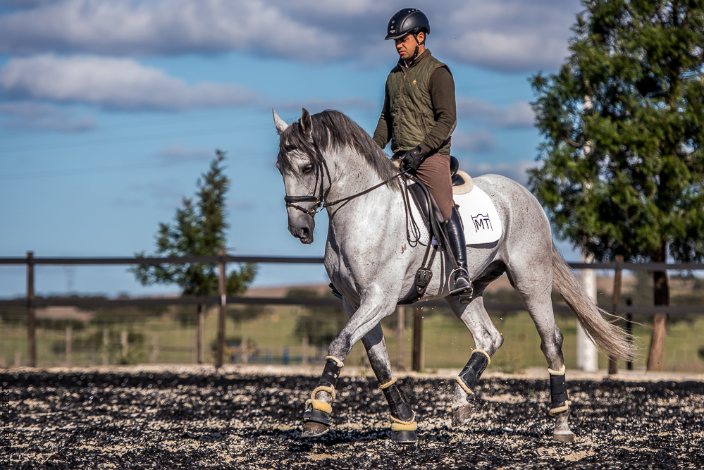 Tramagueira 20191118-0774