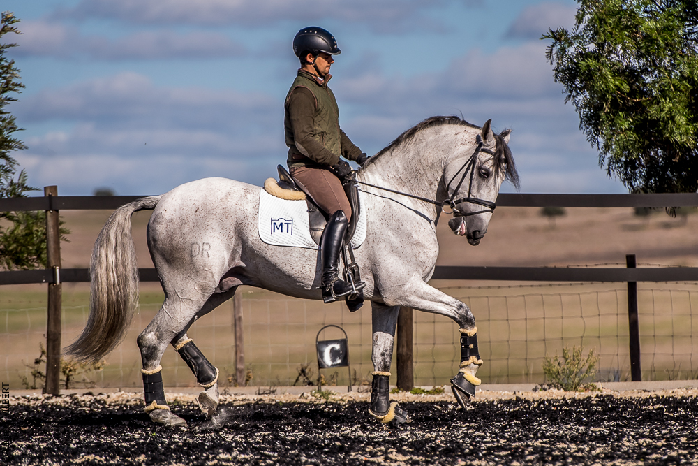 Tramagueira 20191118-0805