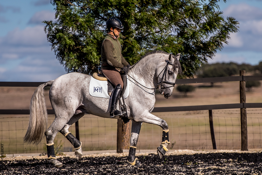 Tramagueira 20191118-0807