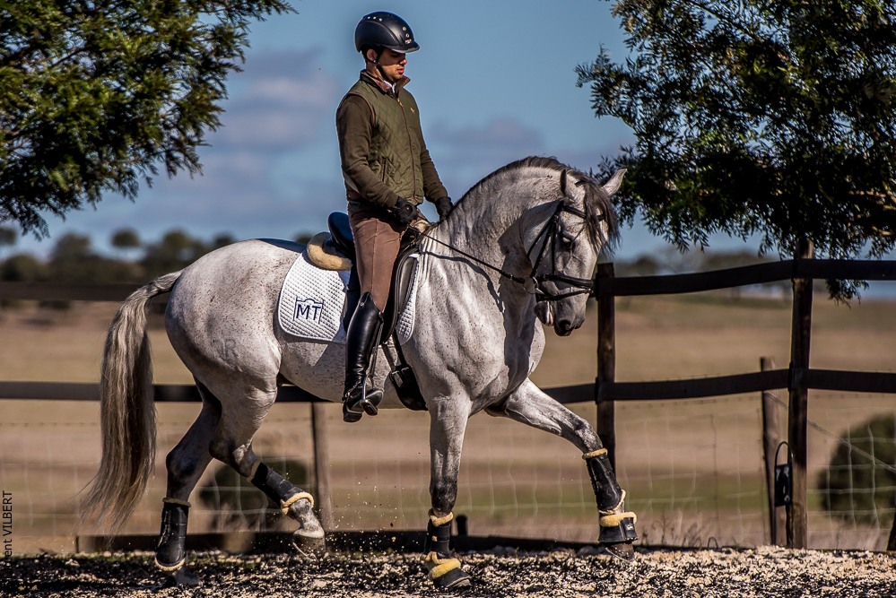 Tramagueira 20191118-0810