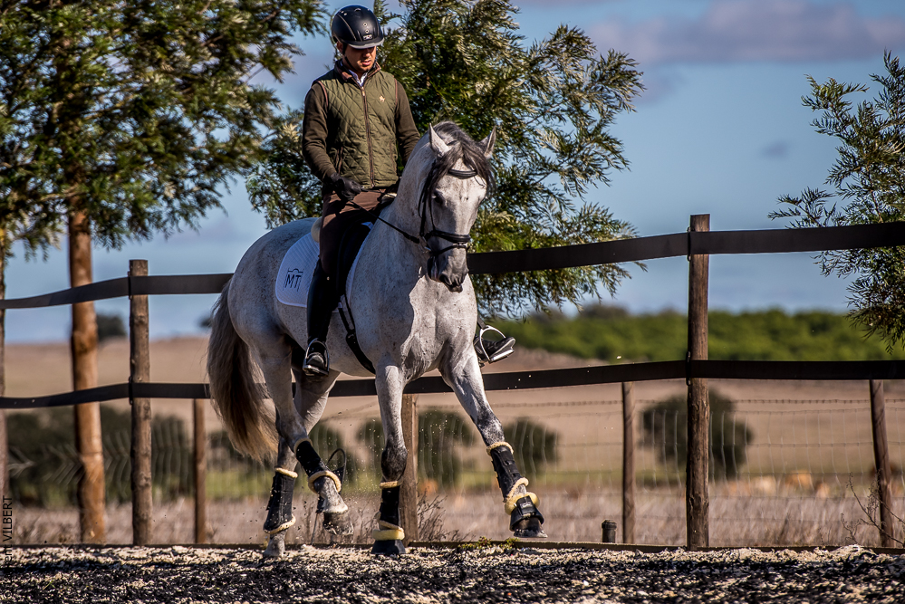 Tramagueira 20191118-0811