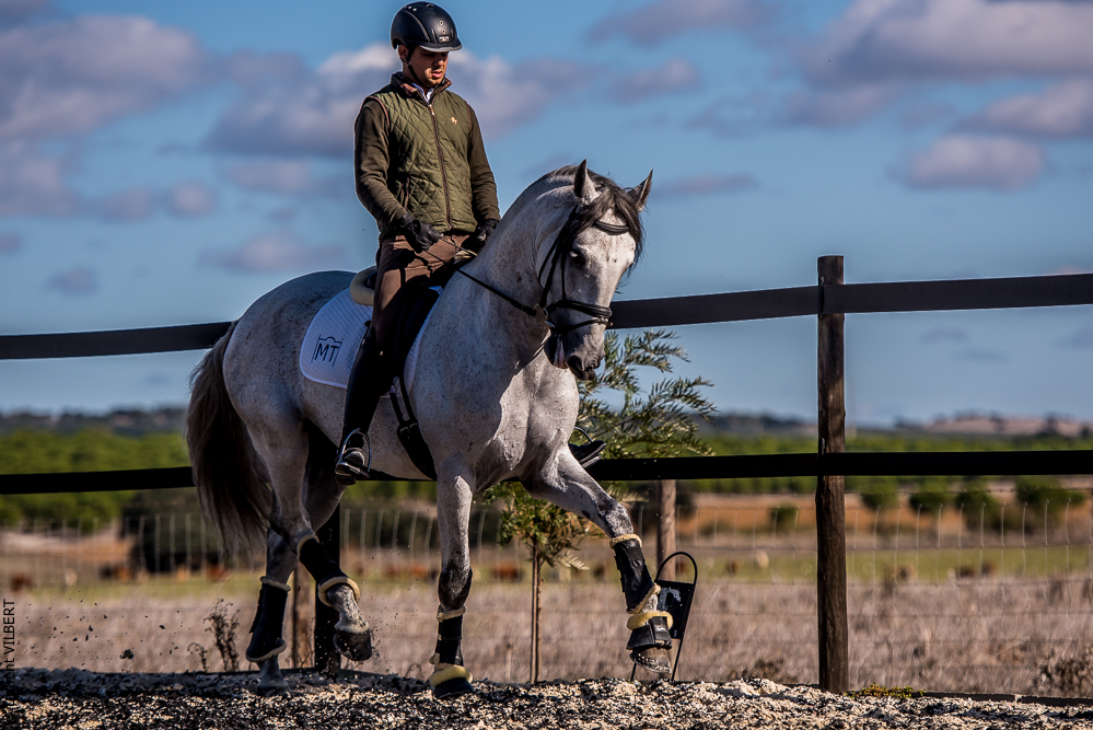 Tramagueira 20191118-0815