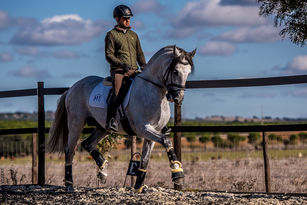 Tramagueira 20191118-0816