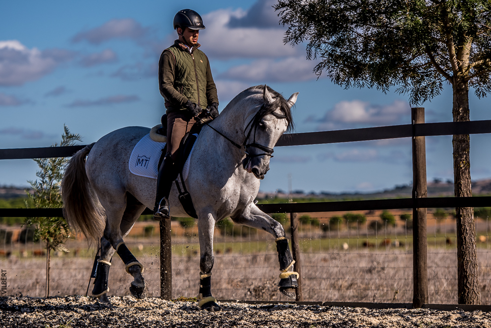Tramagueira 20191118-0817