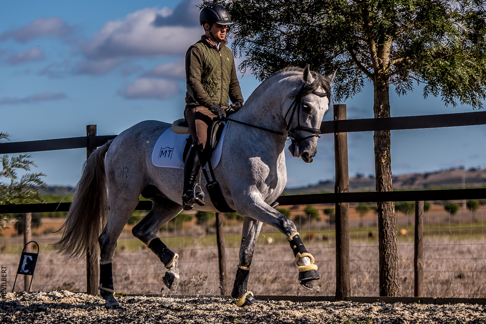 Tramagueira 20191118-0818