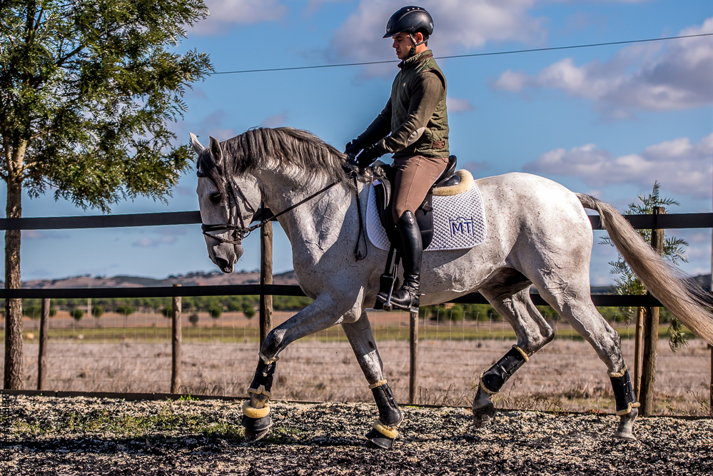 Tramagueira 20191118-0835