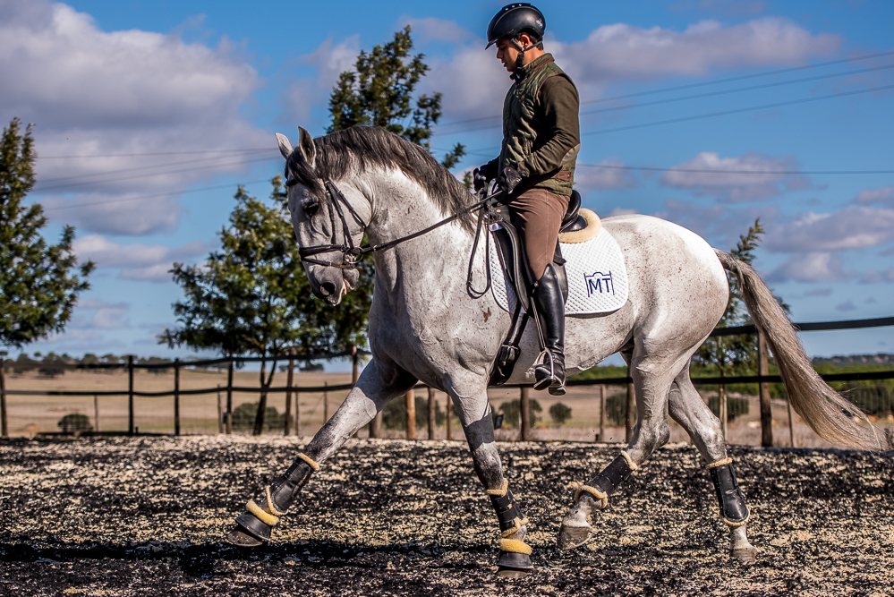 Tramagueira 20191118-0840