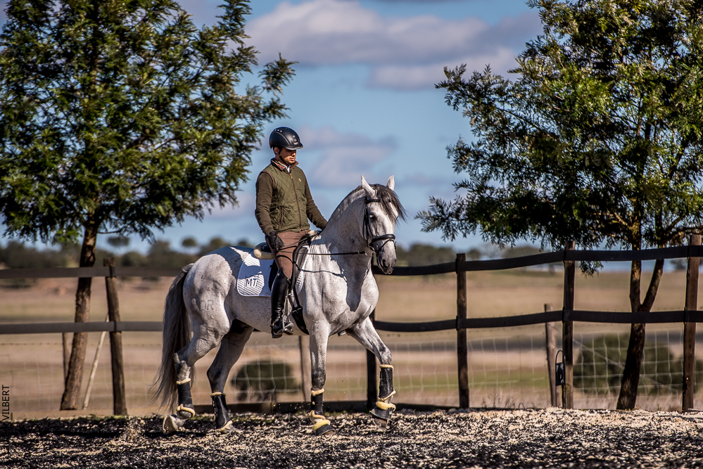 Tramagueira 20191118-0845