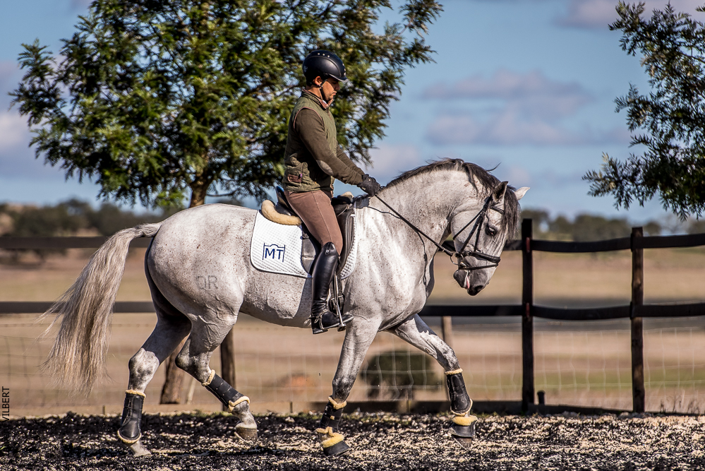 Tramagueira 20191118-0849