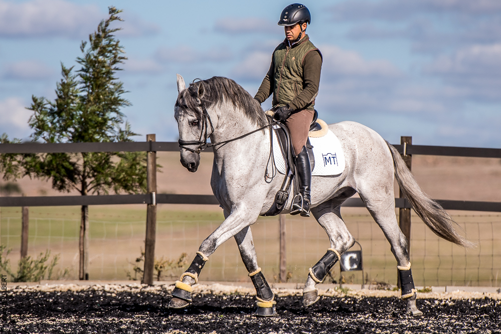 Tramagueira 20191118-0857