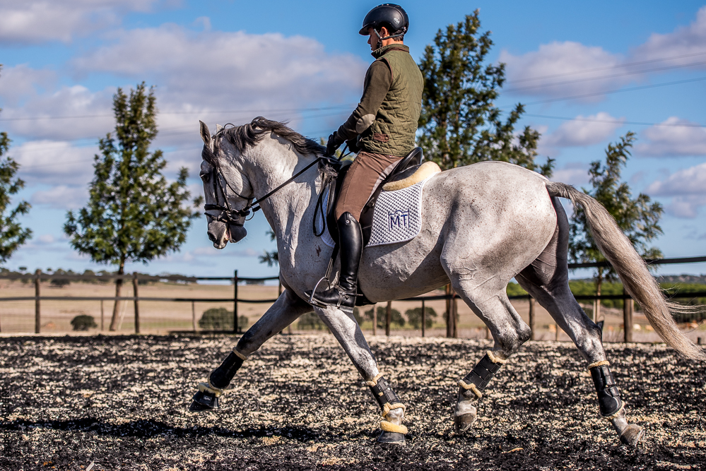 Tramagueira 20191118-0862