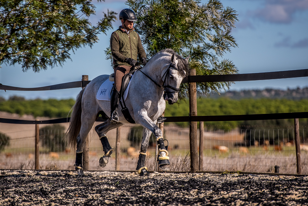 Tramagueira 20191118-0867