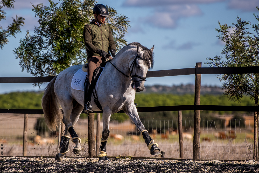 Tramagueira 20191118-0868
