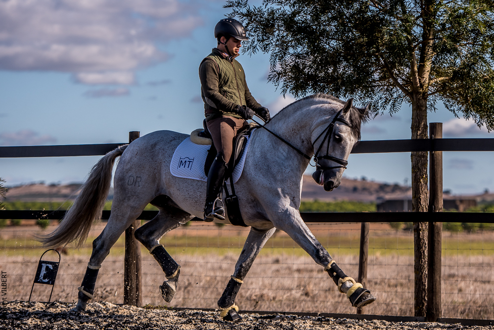 Tramagueira 20191118-0872