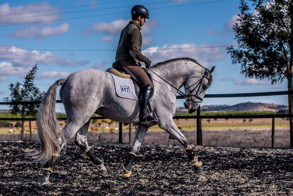 Tramagueira 20191118-0876