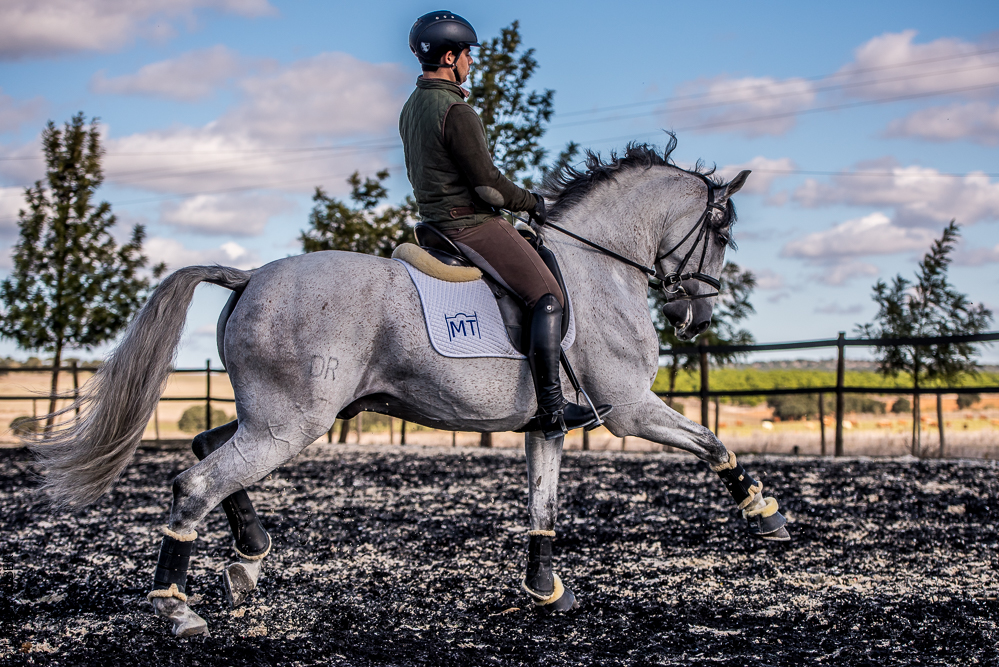 Tramagueira 20191118-0879