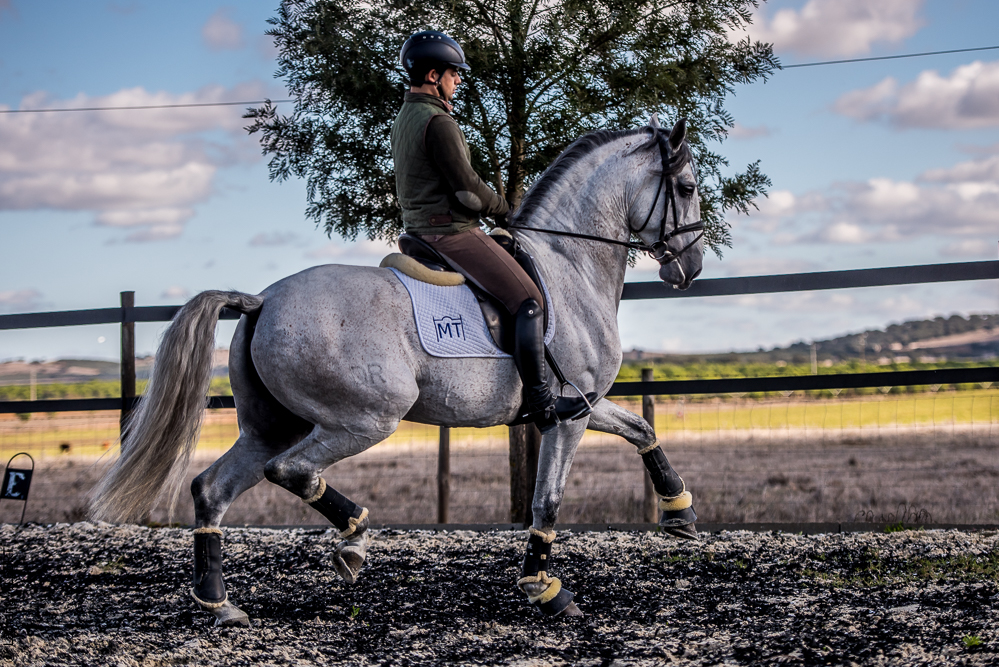 Tramagueira 20191118-0882