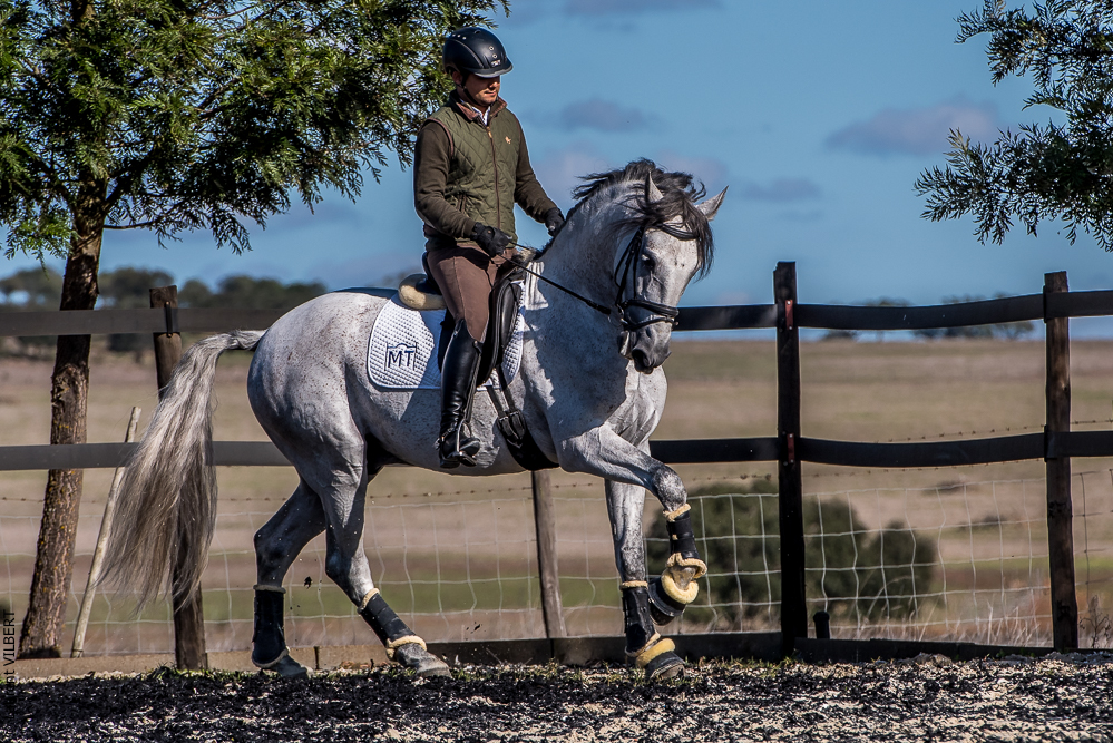 Tramagueira 20191118-0894