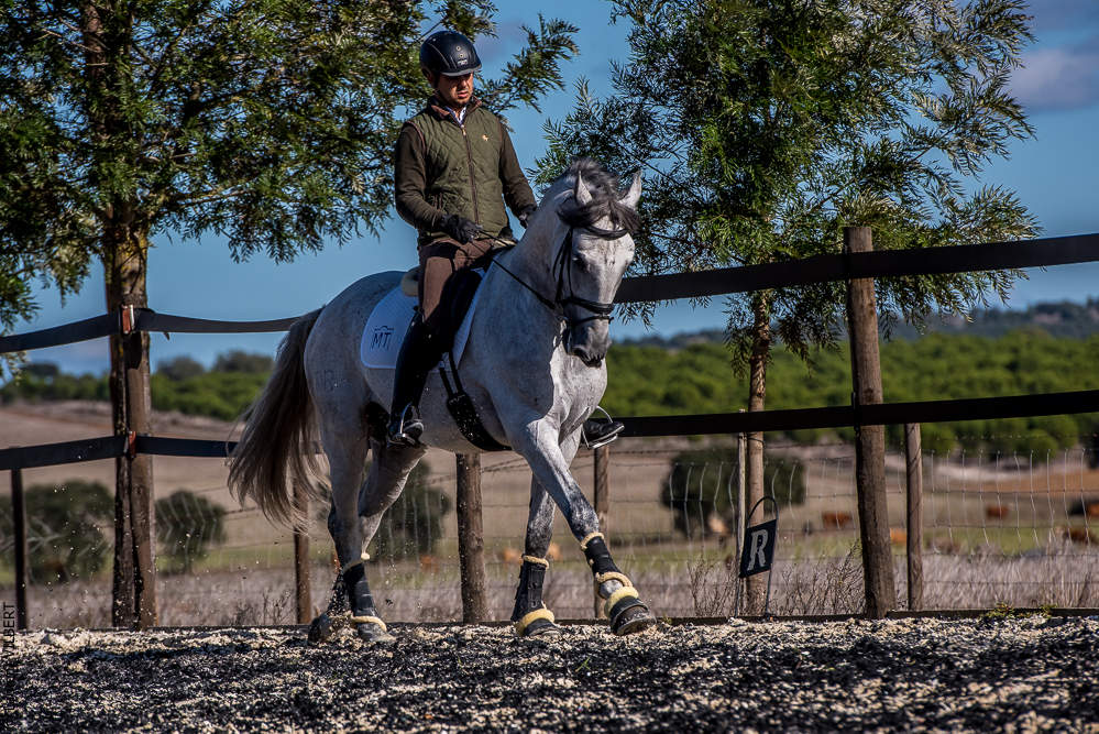 Tramagueira 20191118-0896