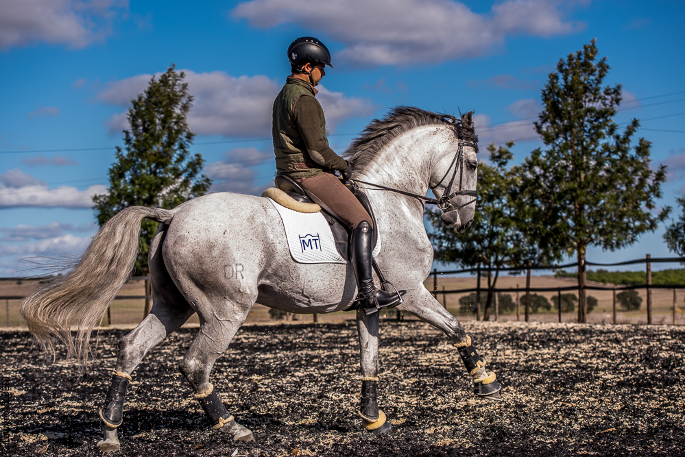 Tramagueira 20191118-0906