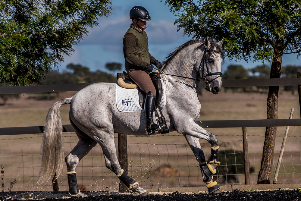 Tramagueira 20191118-0913