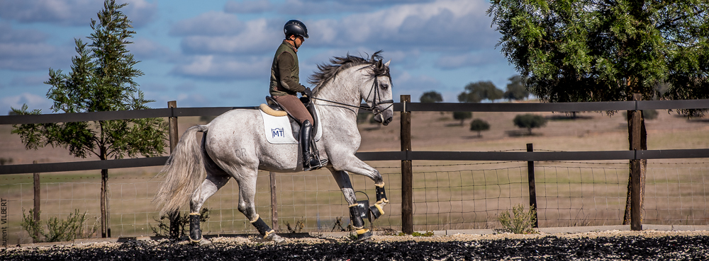 Tramagueira 20191118-0924