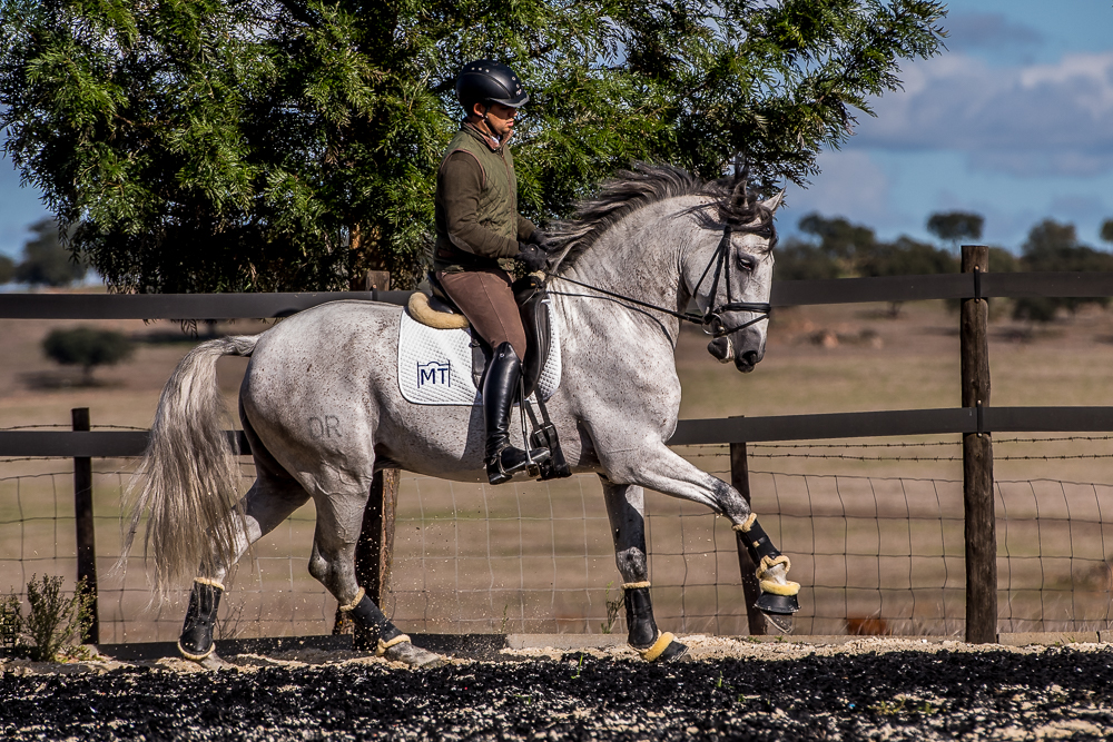 Tramagueira 20191118-0926