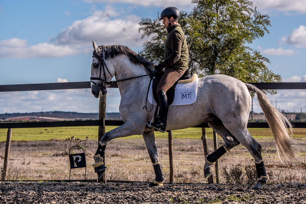 Tramagueira 20191118-0936