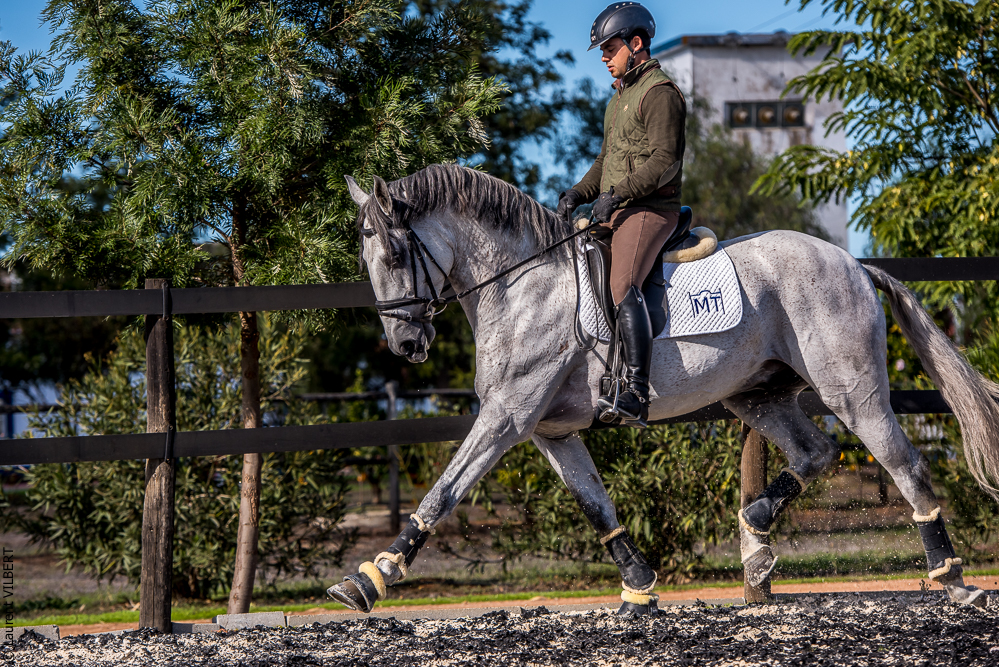 Tramagueira 20191118-0942