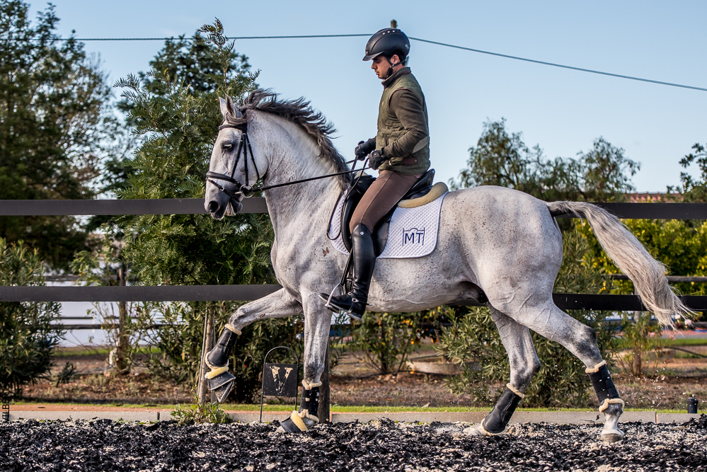Tramagueira 20191118-0949