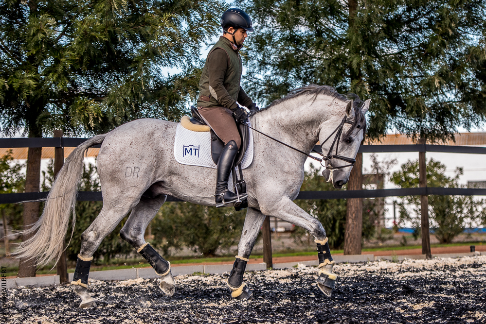 Tramagueira 20191118-0971