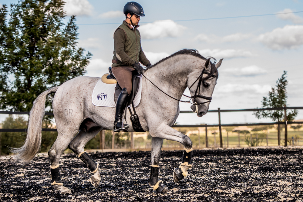 Tramagueira 20191118-0974