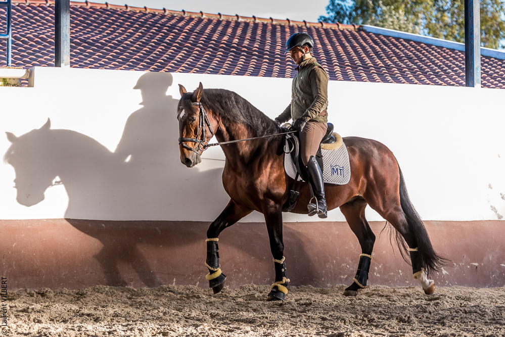 Tramagueira 20191118-0995