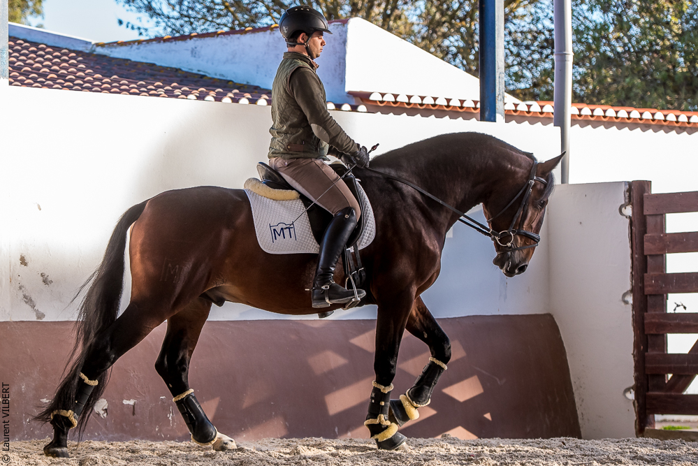 Tramagueira 20191118-1006