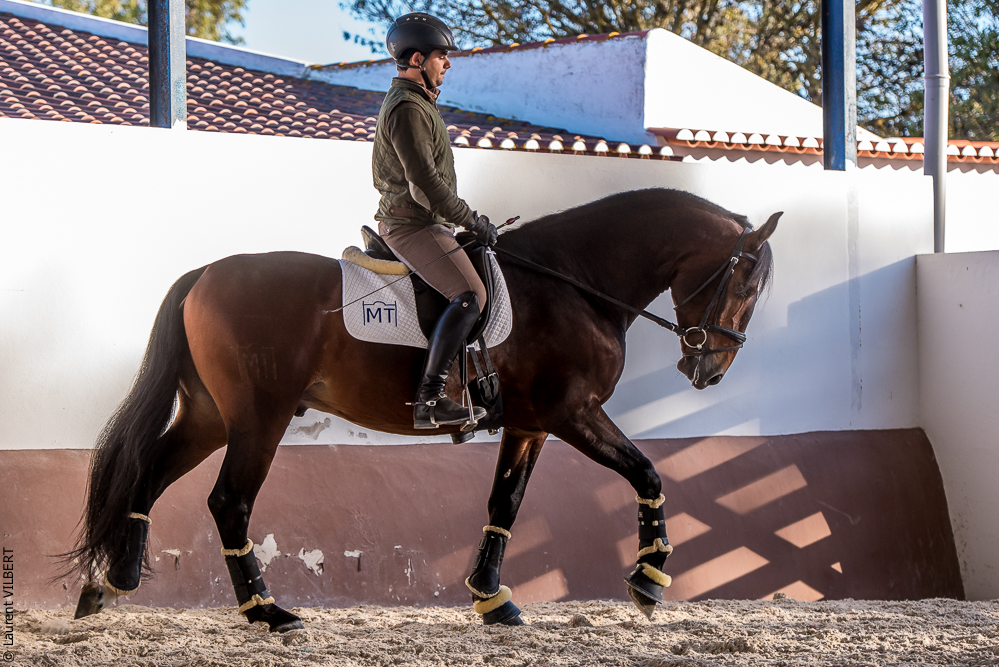 Tramagueira 20191118-1012