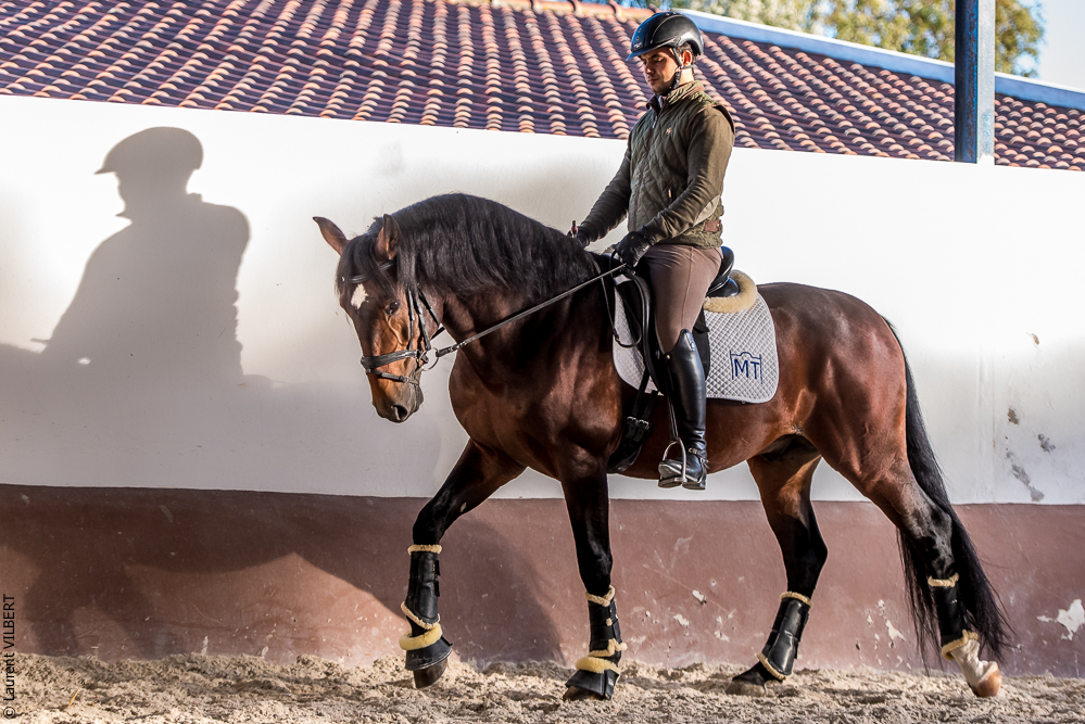 Tramagueira 20191118-1024