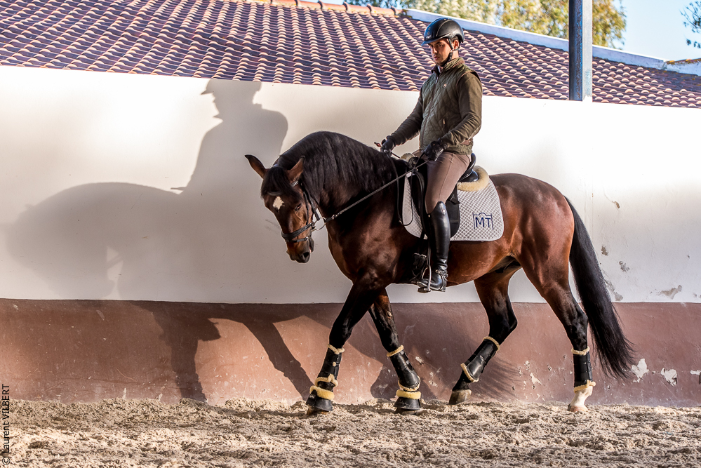Tramagueira 20191118-1035