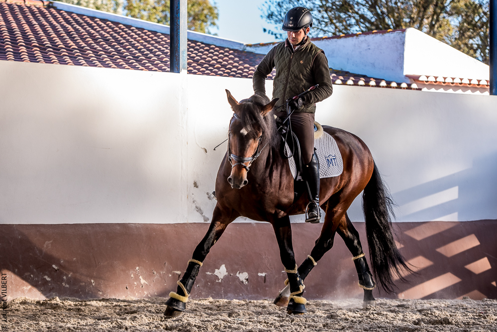 Tramagueira 20191118-1045