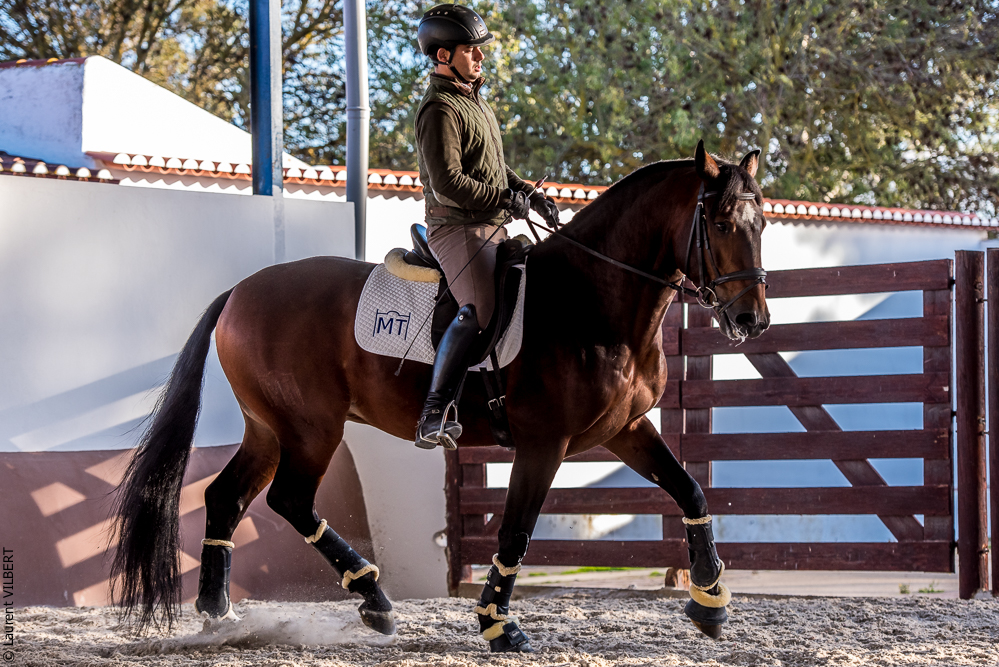 Tramagueira 20191118-1061