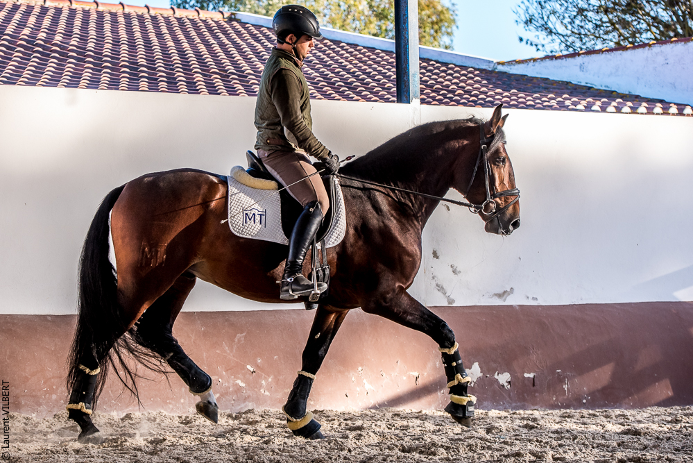 Tramagueira 20191118-1063