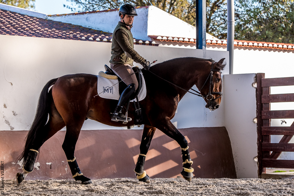 Tramagueira 20191118-1074