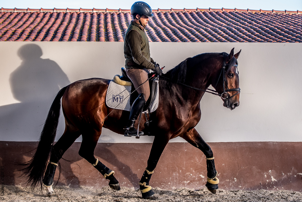 Tramagueira 20191118-1083