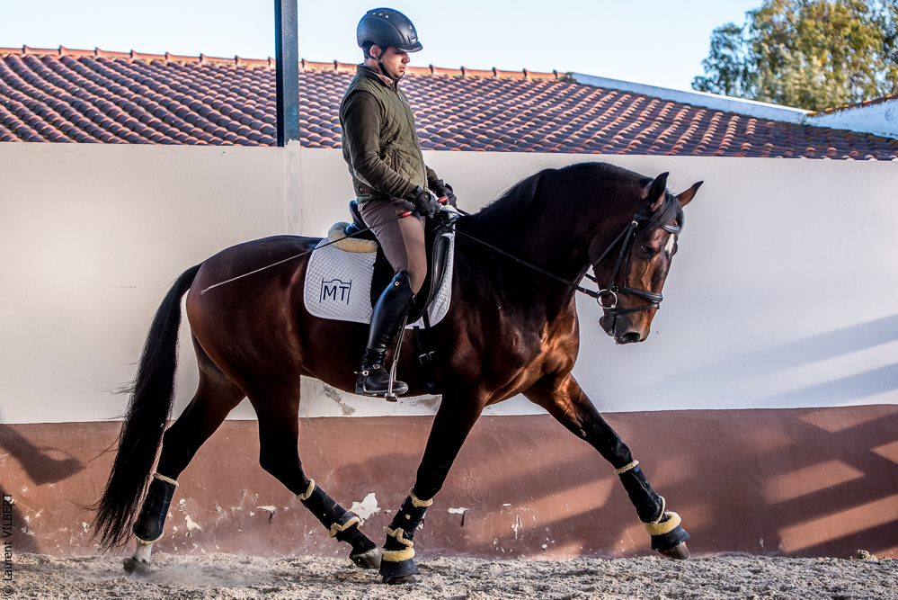 Tramagueira 20191118-1084