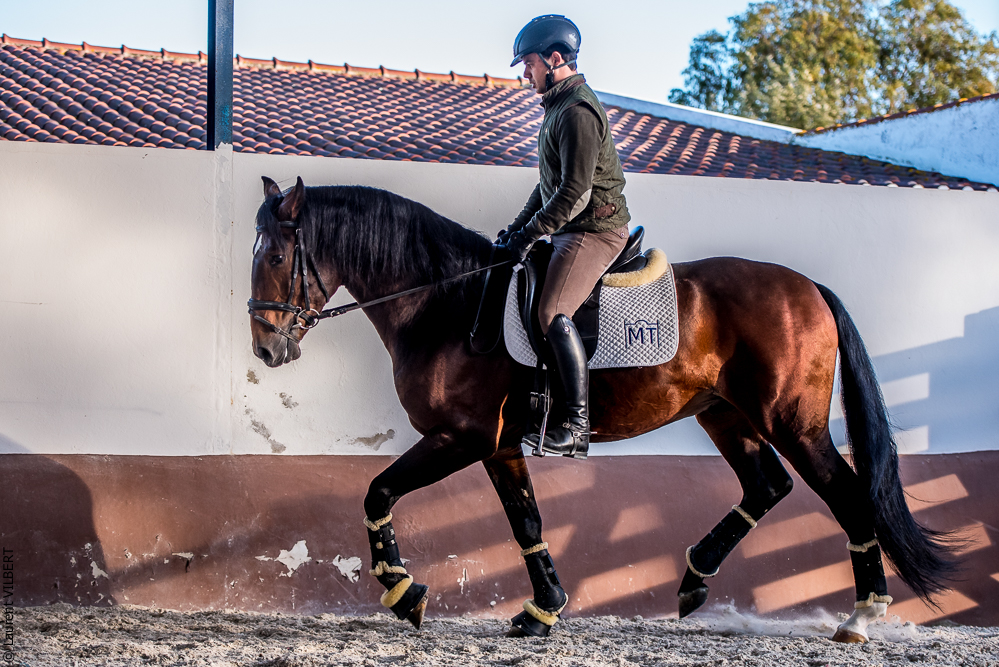 Tramagueira 20191118-1092