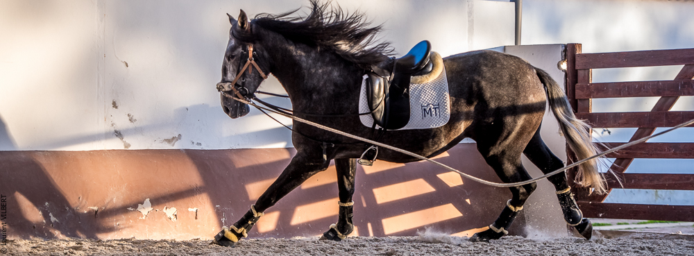 Tramagueira 20191118-1132